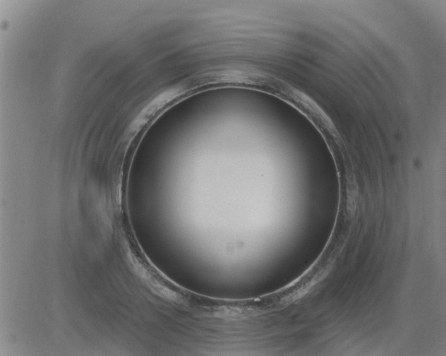 X0000083530938200702161909