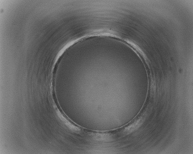 X0000083530941200702161909