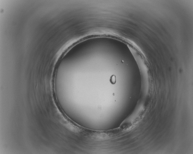 X0000083530943200702161909