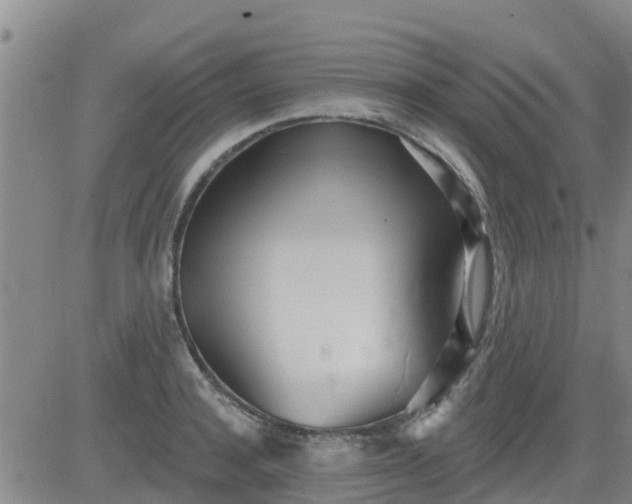 X0000083530944200702161909