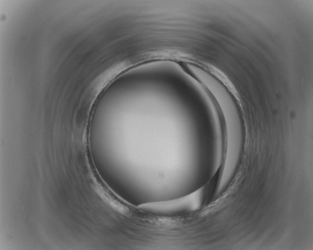 X0000083530946200702161909