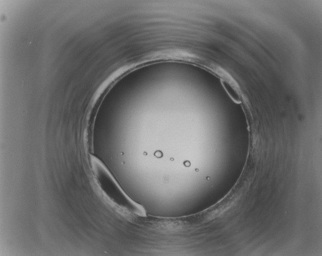 X0000083530947200702161909