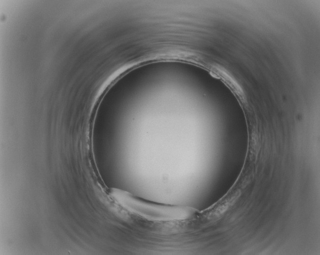 X0000083530948200702161909