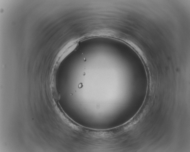 X0000083530949200702161909