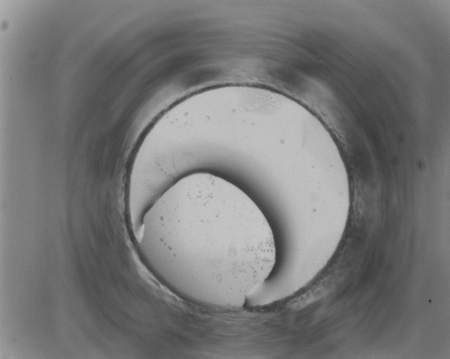 X0000083530950200702161909