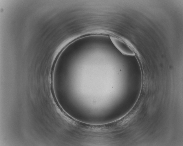 X0000083530951200702161909