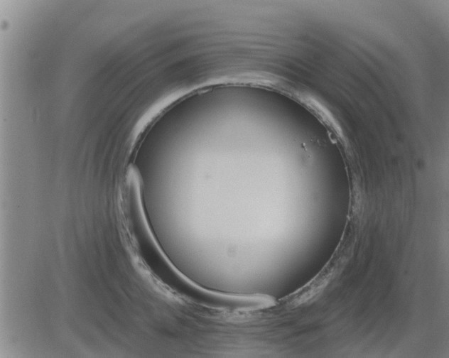 X0000083530952200702161909