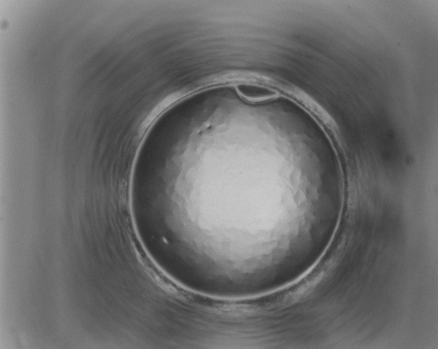 X0000083530953200702161909