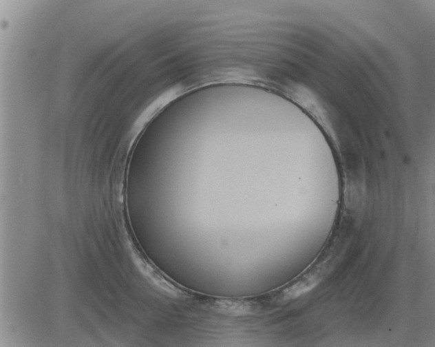 X0000083530954200702161909