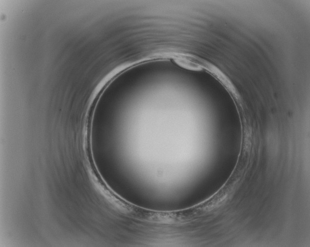 X0000083530955200702161909