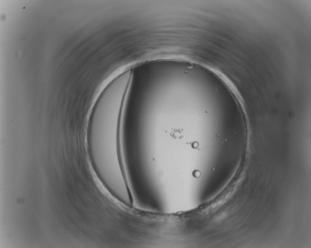 X0000083530957200702161909