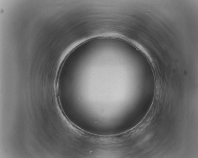 X0000083530959200702161909