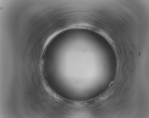 X0000083530960200702161909