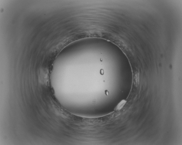 X0000083530963200702161908