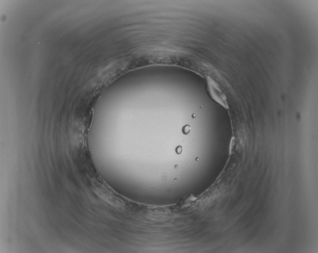 X0000083530964200702161908