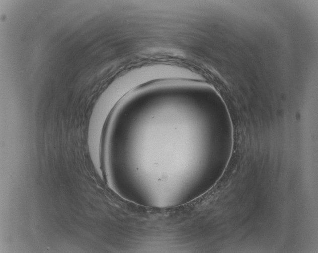 X0000083530965200702161908