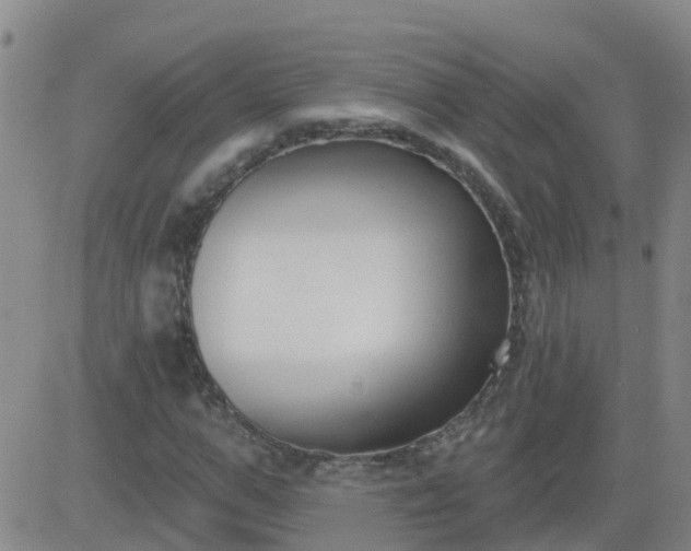 X0000083530967200702161908