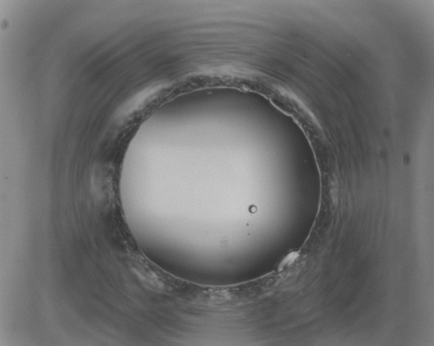 X0000083530968200702161908