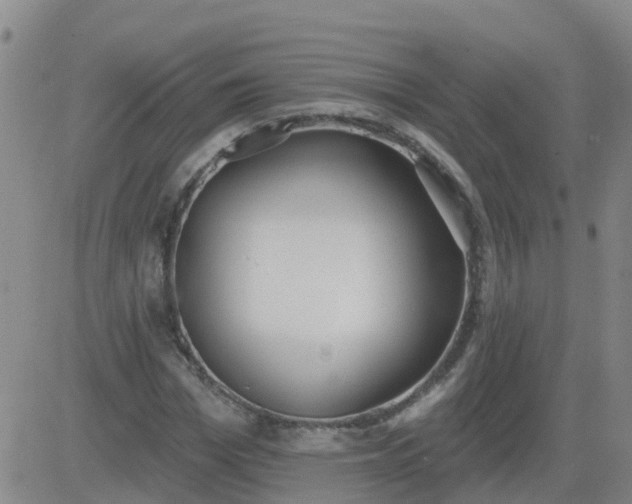 X0000083530969200702161908