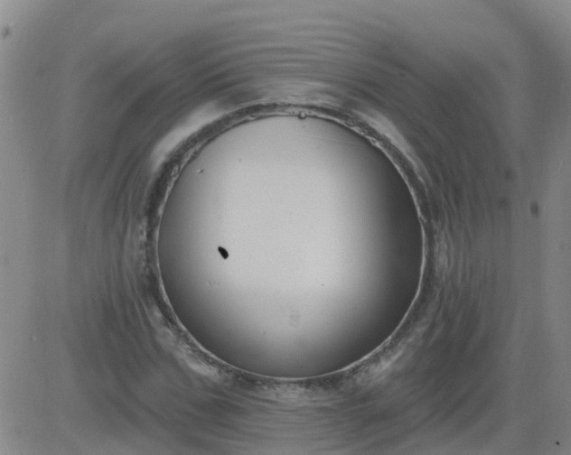 X0000083530971200702161908