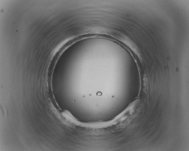 X0000083530972200702161908