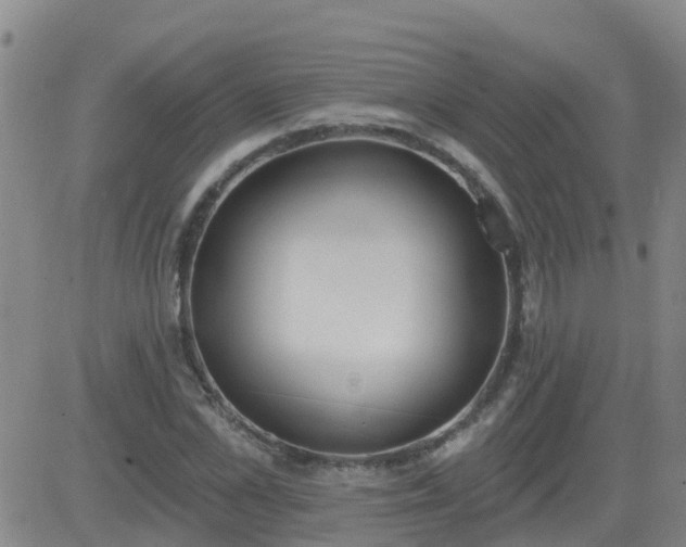 X0000083530973200702161908