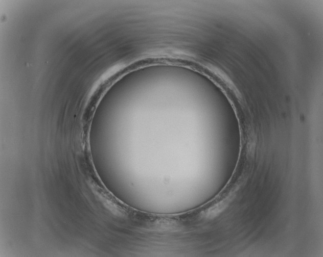 X0000083530974200702161908