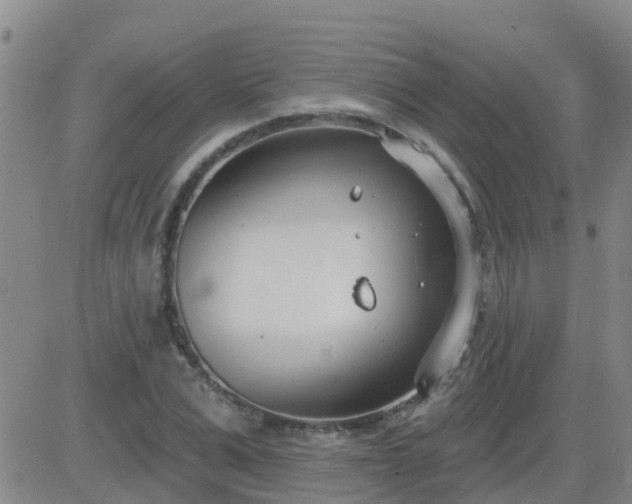 X0000083530975200702161908