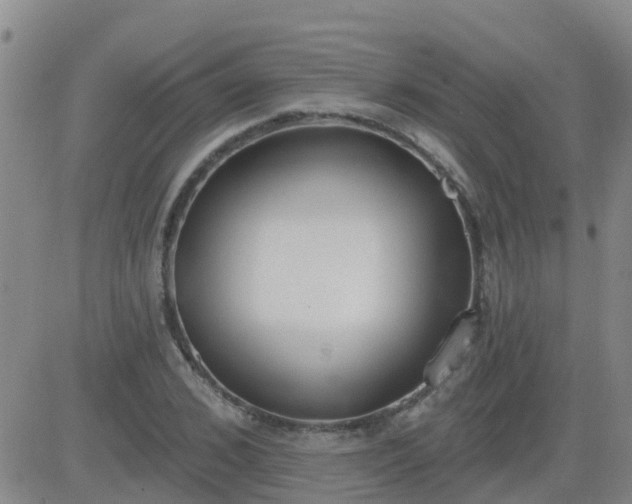 X0000083530976200702161908