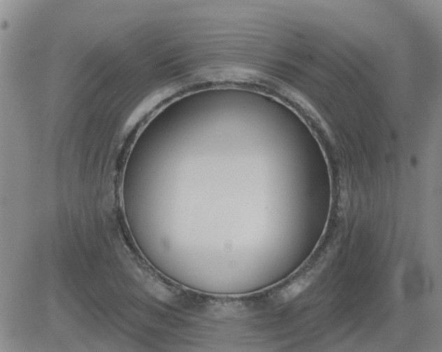 X0000083530978200702161908