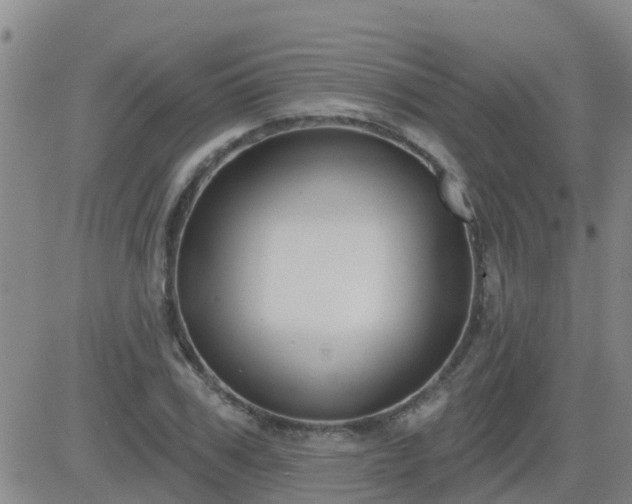 X0000083530979200702161908