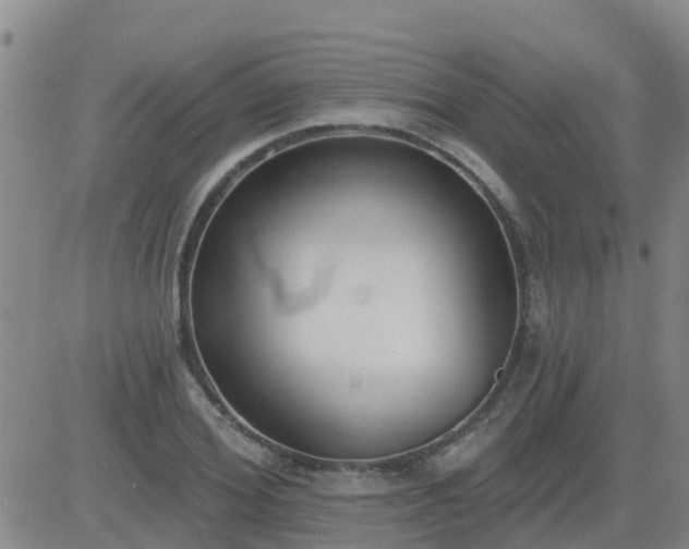 X0000083530980200702161908