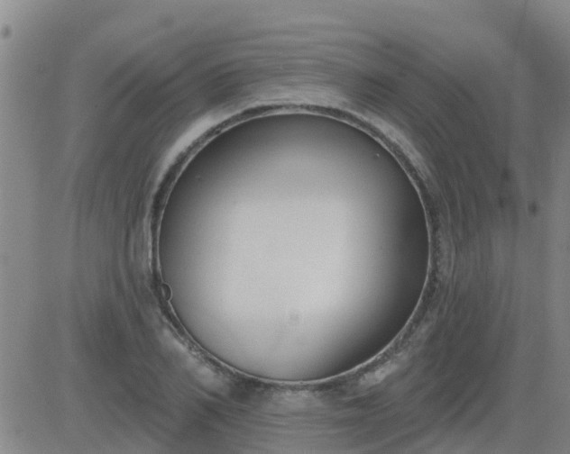 X0000083530982200702161908