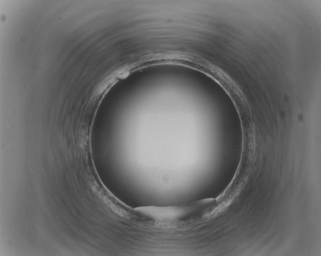 X0000083530985200702161908