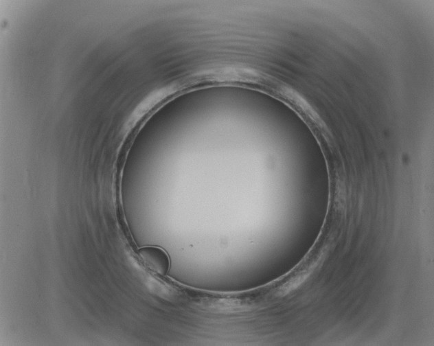 X0000083530986200702161908