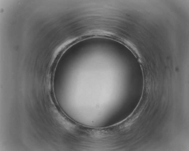 X0000083530987200702161908