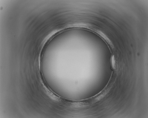 X0000083530988200702161908