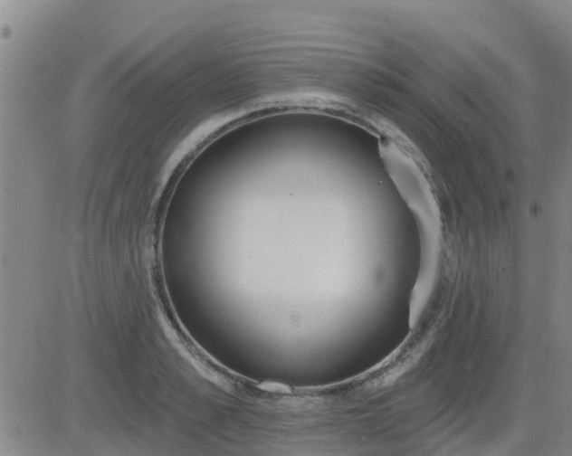 X0000083530989200702161908