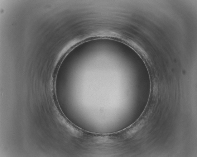 X0000083530990200702161908