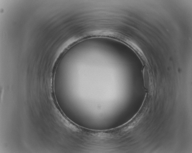 X0000083530992200702161908