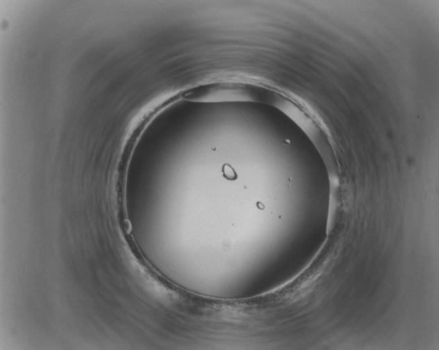 X0000083530995200702161908