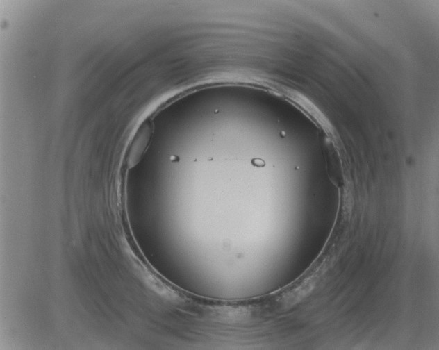 X0000083530996200702161908