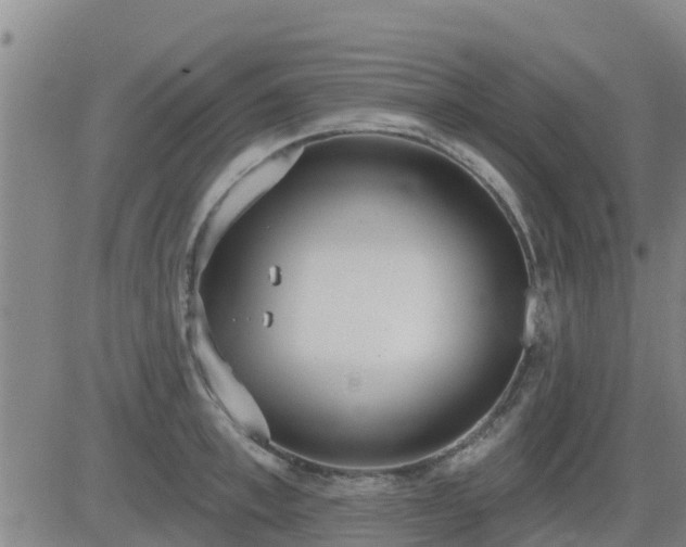 X0000083530997200702161908