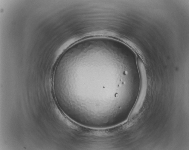 X0000083530998200702161908