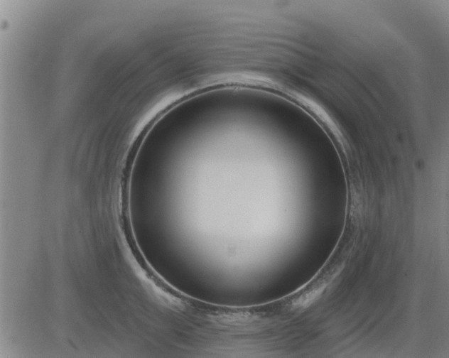 X0000083530999200702161908