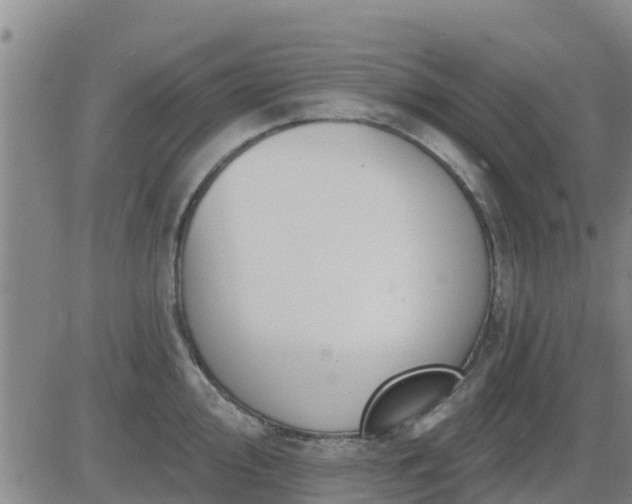 X0000083531000200702161908