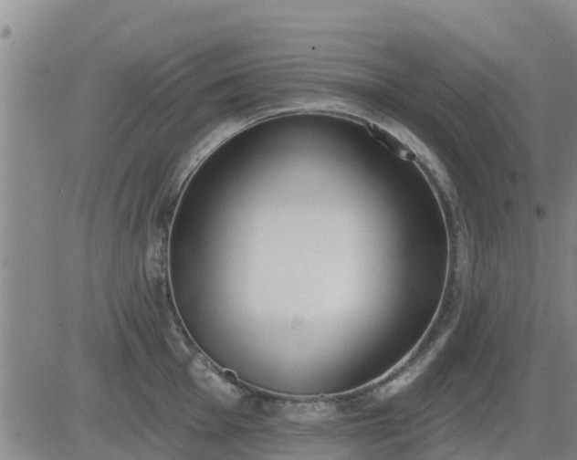 X0000083531001200702161908