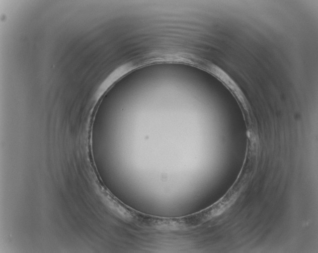 X0000083531002200702161908