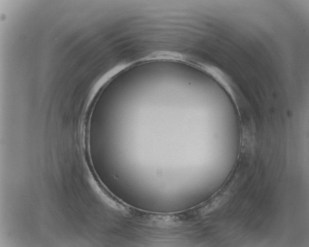 X0000083531003200702161908