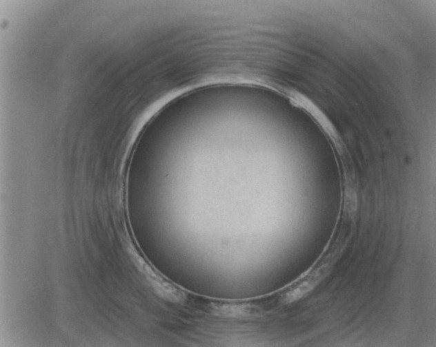 X0000083531004200702161908